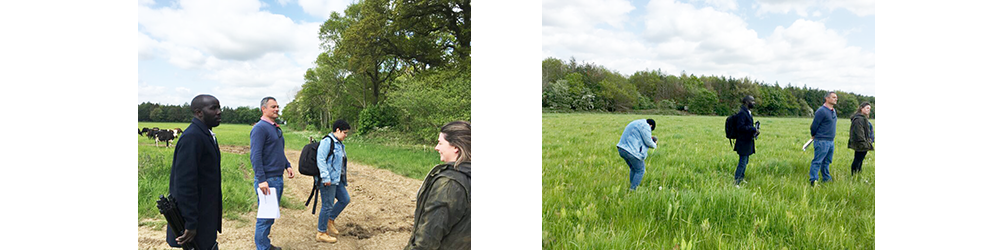 4 people standing in a filed looking at grass